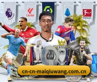 买球网 APP（maiqiuwang）