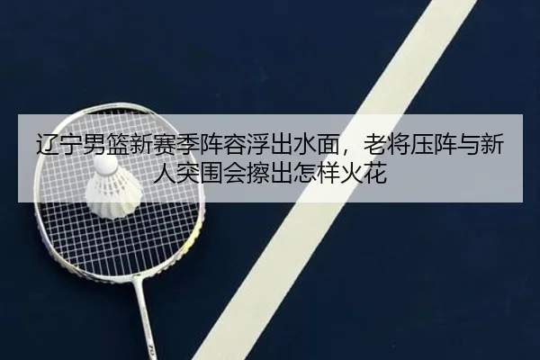 辽宁男篮新赛季阵容浮出水面，老将压阵与新人突围会擦出怎样火花